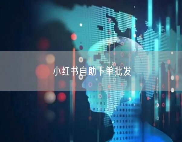 小红书自助下单批发