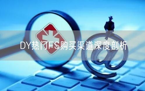 DY热门FS购买渠道深度剖析