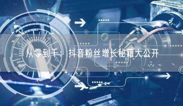 从零到千：抖音粉丝增长秘籍大公开