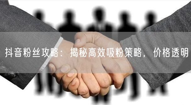 抖音粉丝攻略：揭秘高效吸粉策略，价格透明